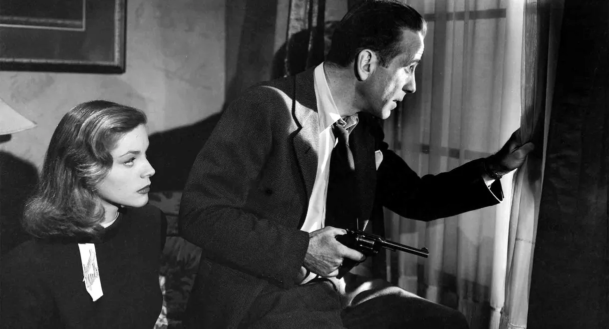 The Big Sleep