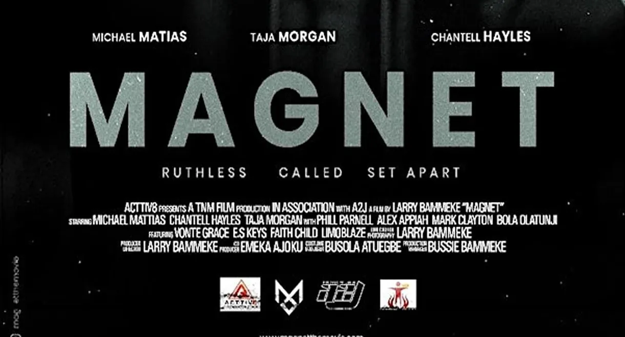 Magnet