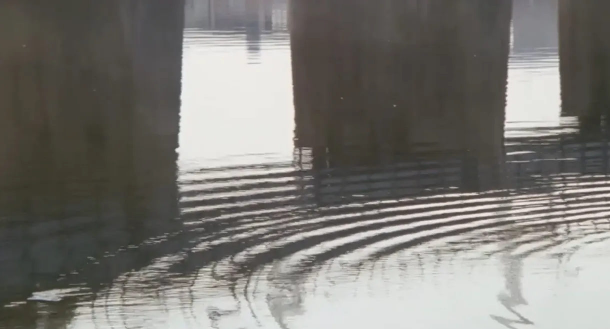 Ginza neon-gai: Onna no zetchô