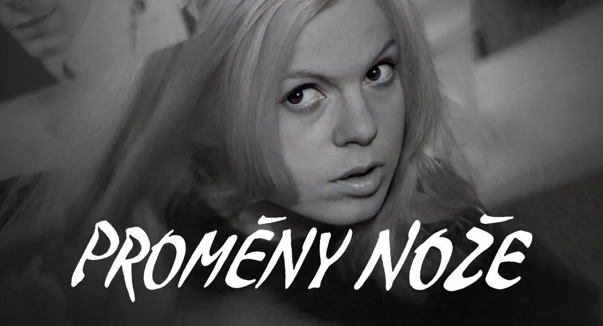 Proměny nože