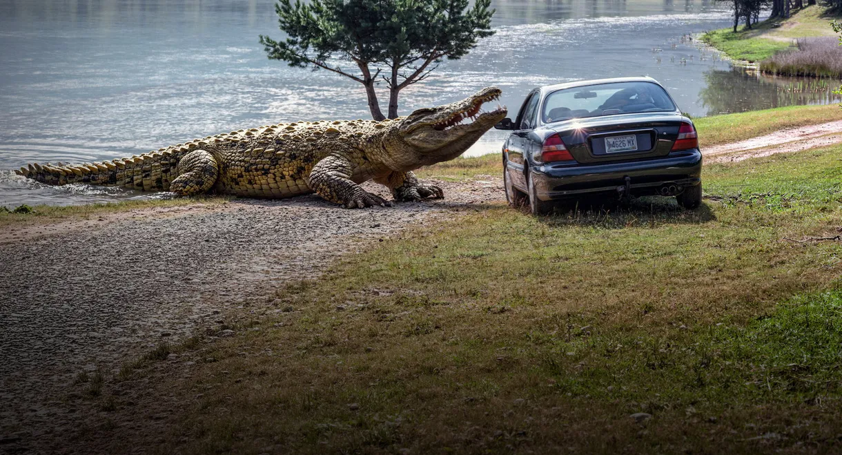 Lake Placid 3