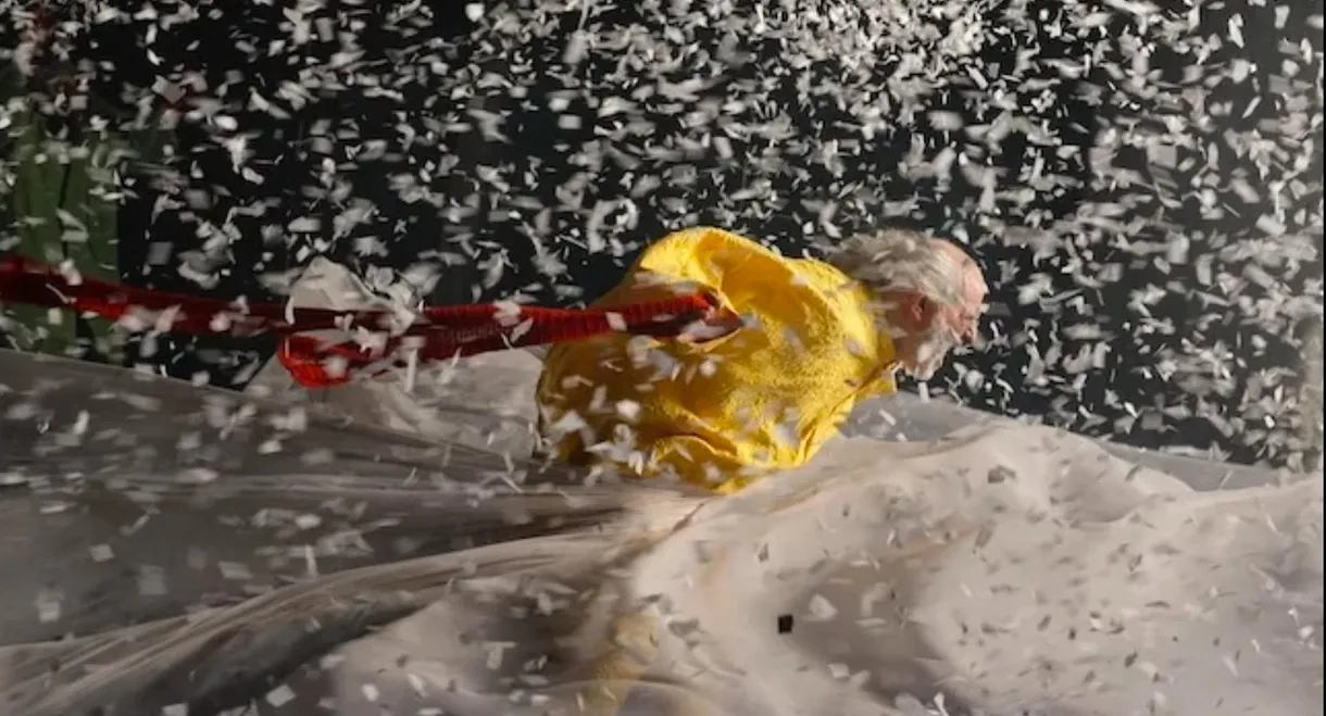 Slava's Snowshow