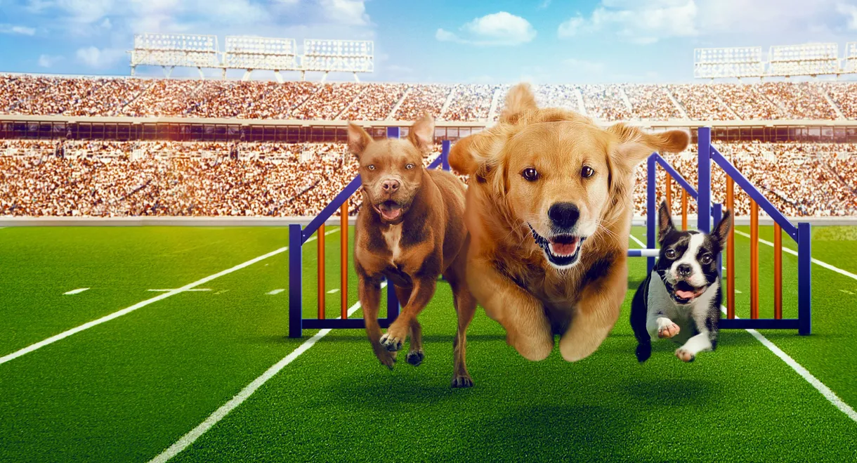 Puppy Bowl Presents: The Dog Games