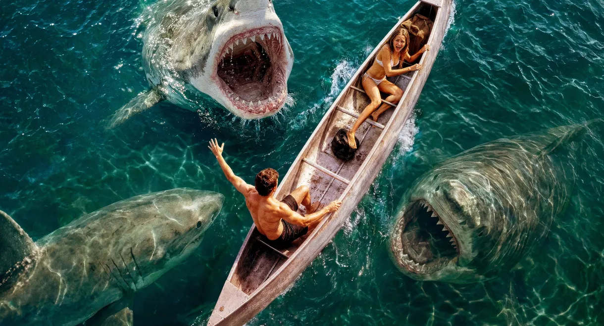Shark Frenzy