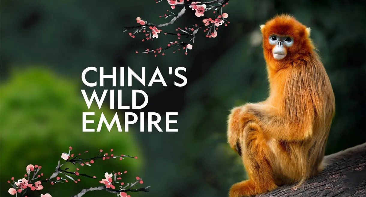 China's Wild Empire