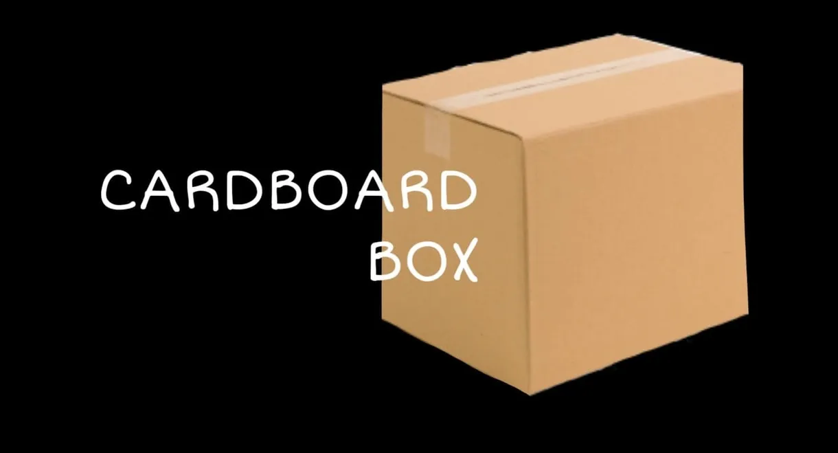 Cardboard Box