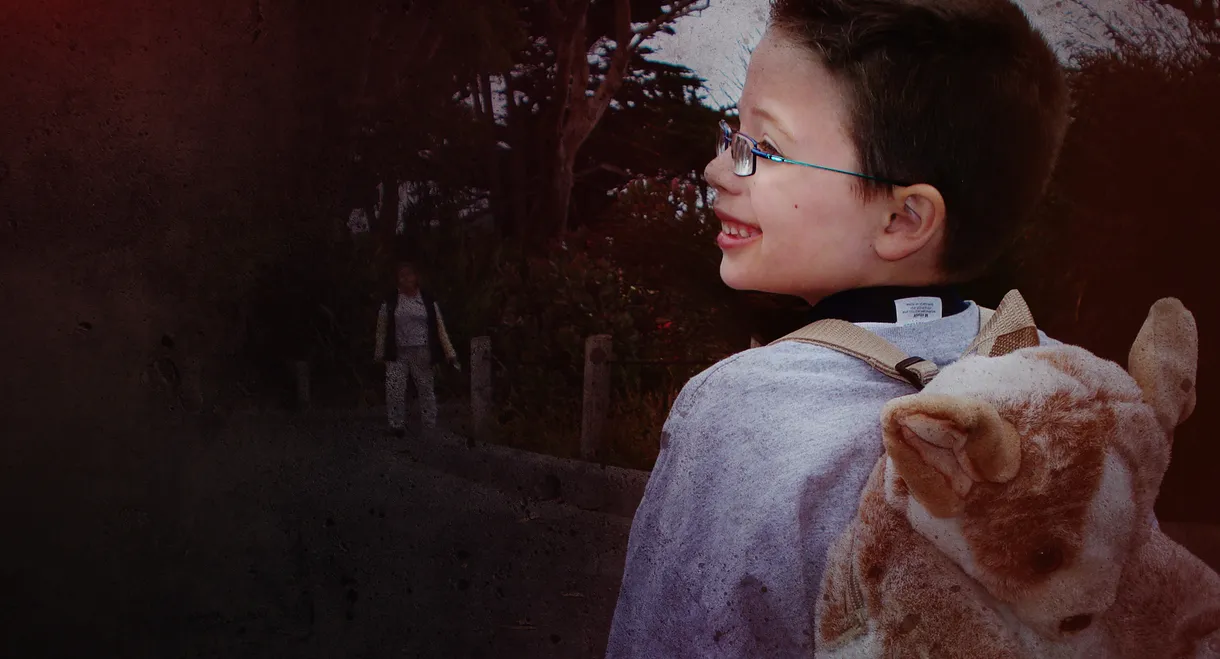 Little Boy Lost: An ID Mystery