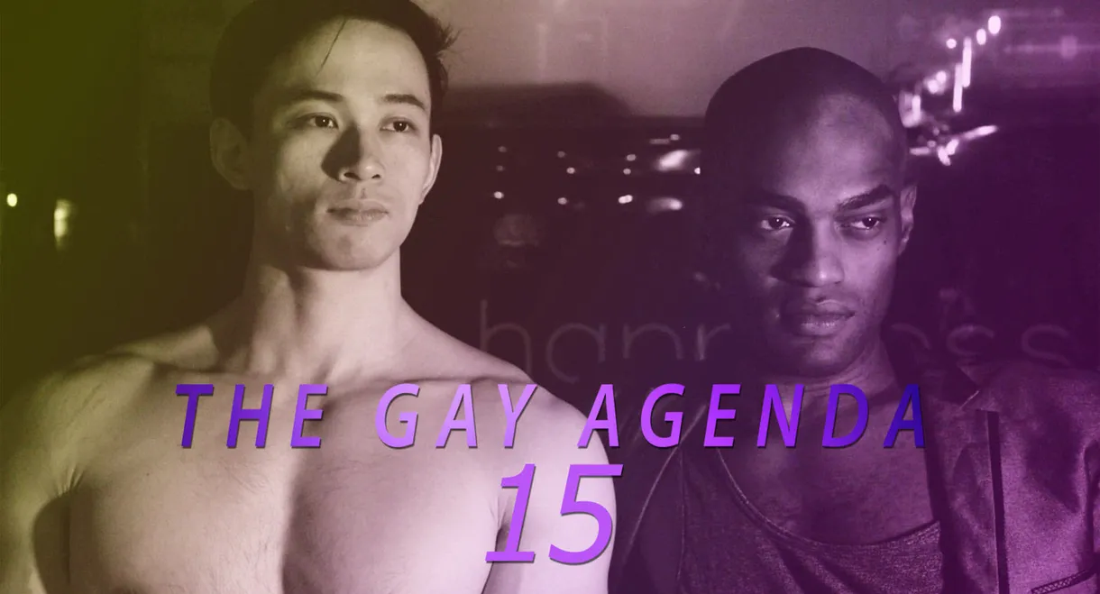 The Gay Agenda 15