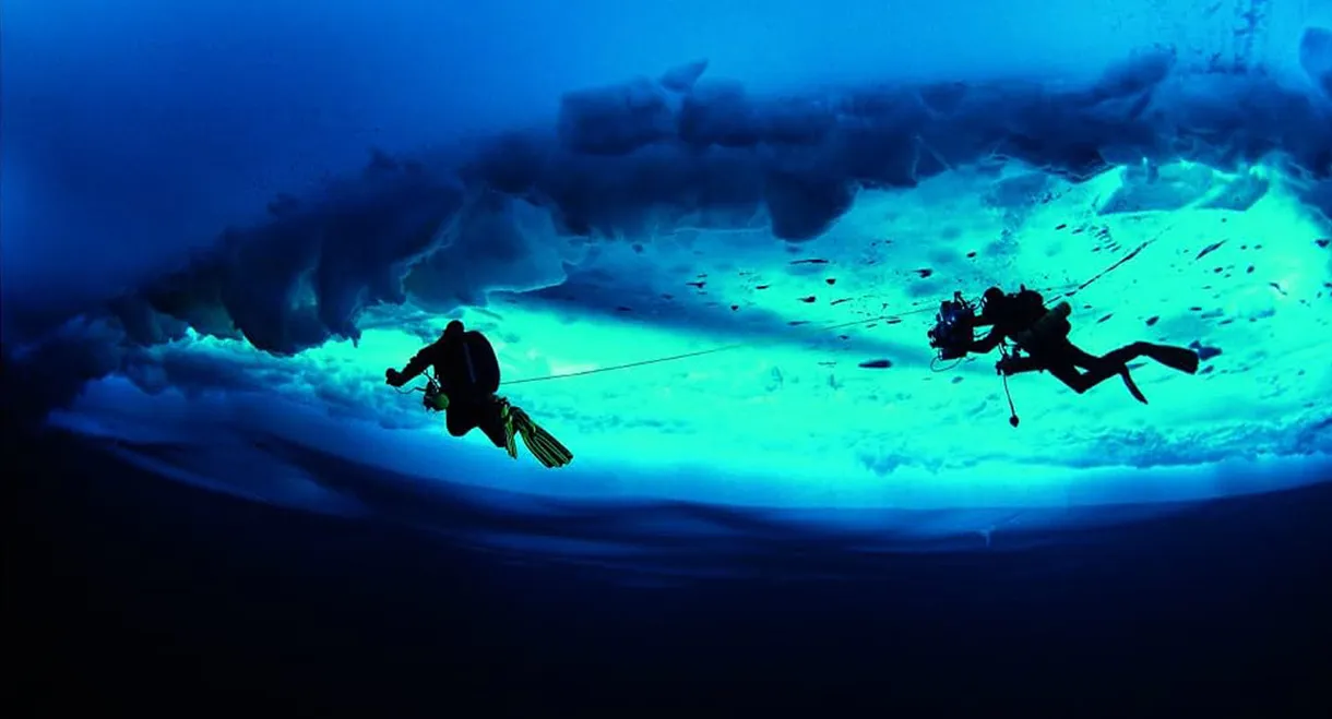 Deepsea Under The Pole