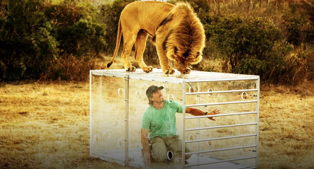 Man V. Lion