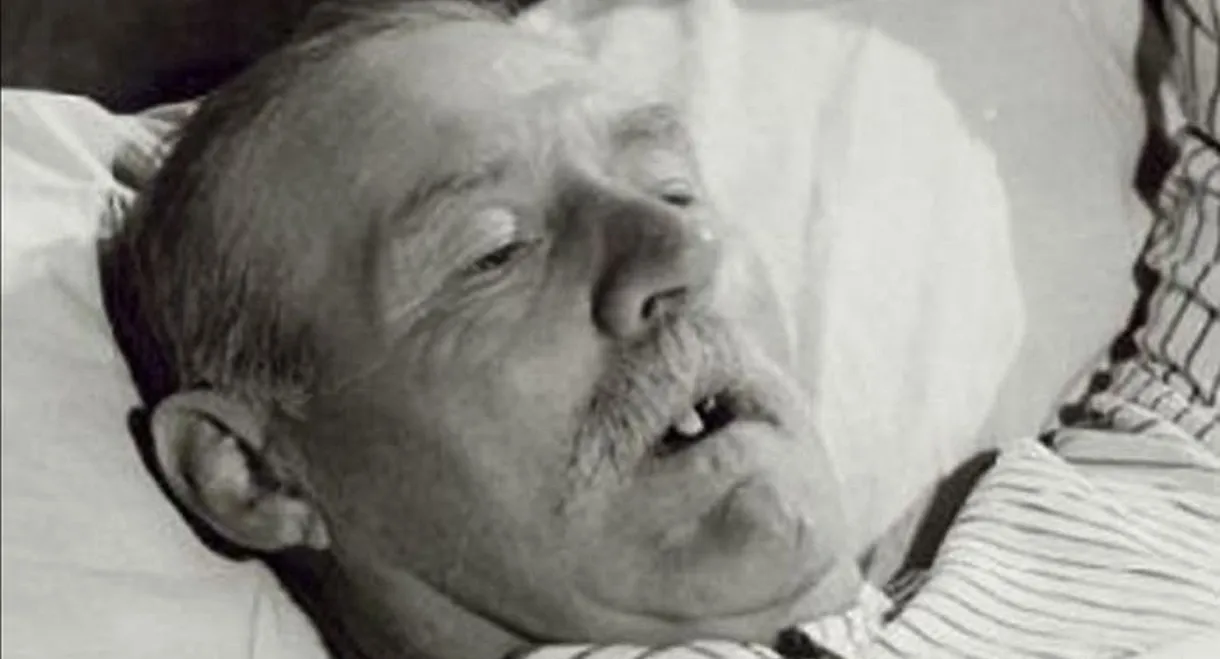 Life and Death in Flanders