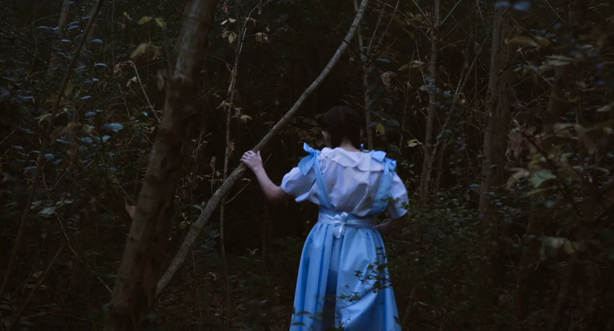The Painter, the Forest and the Canvas