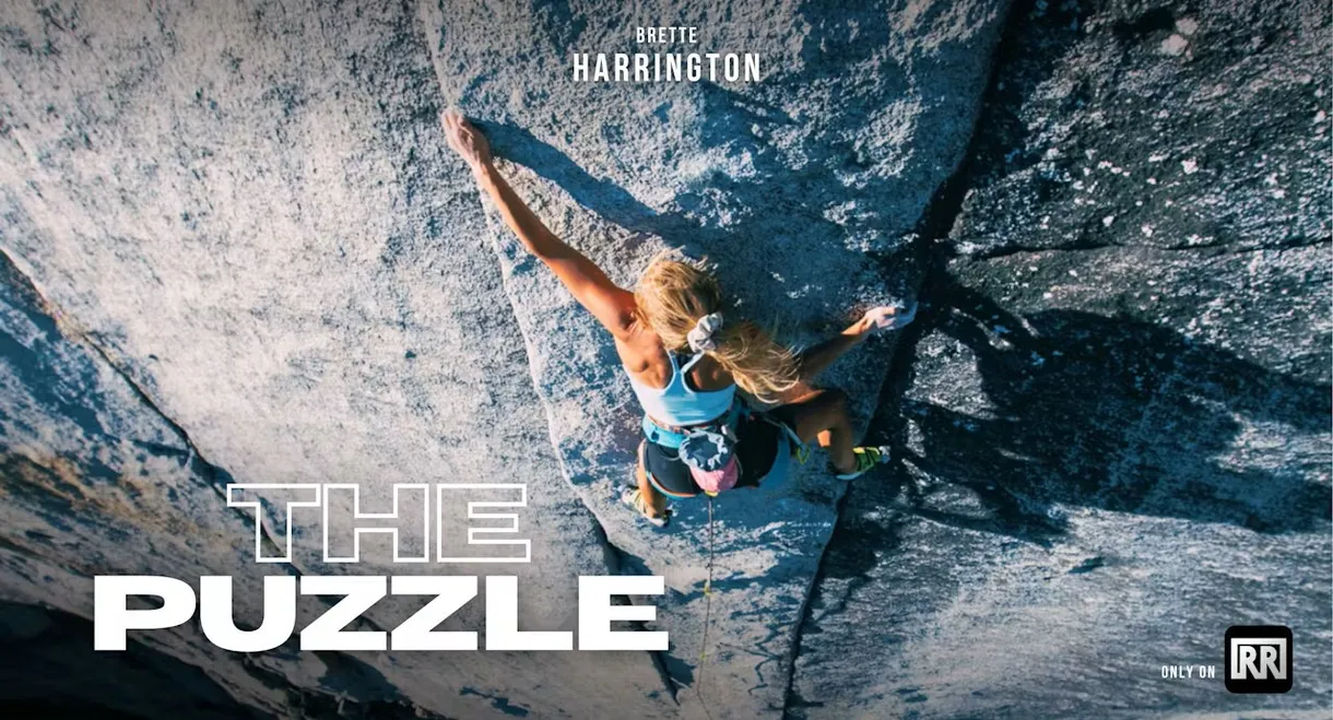 The Puzzle