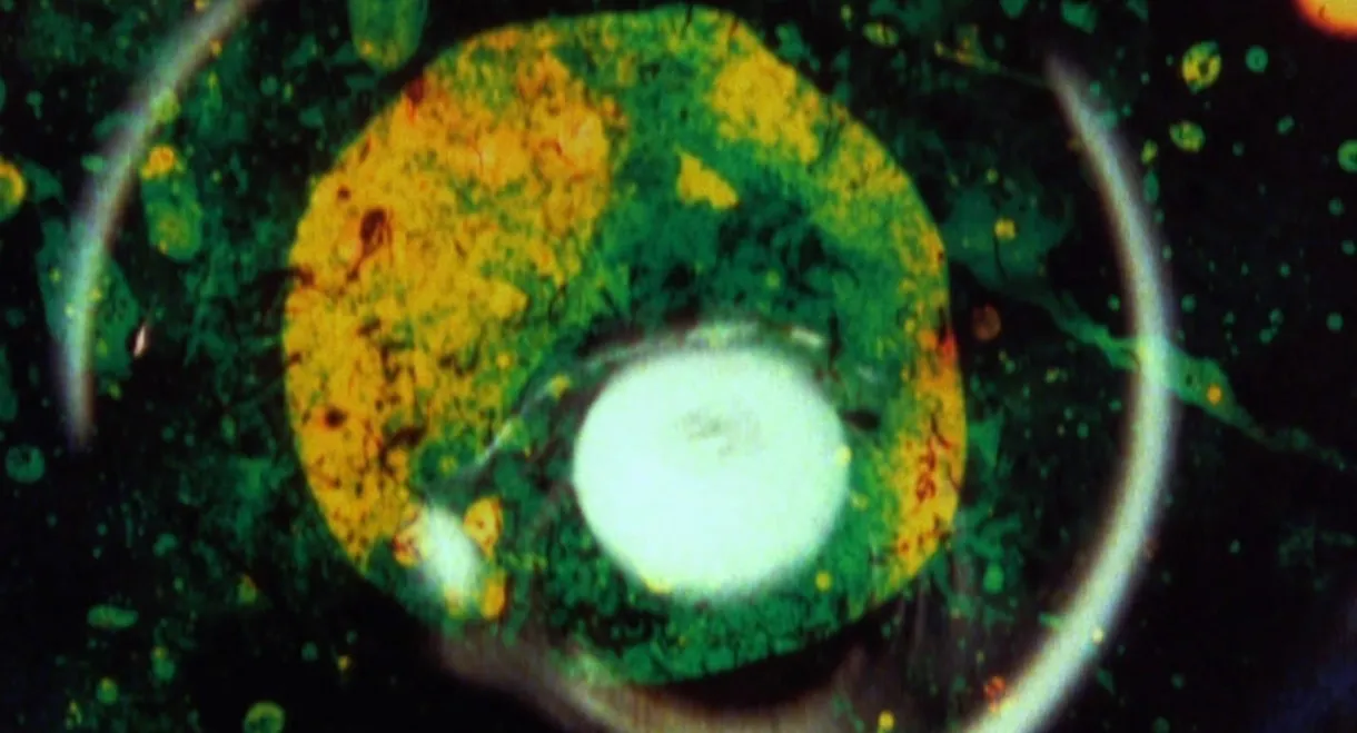 By Brakhage: An Anthology, Volume One