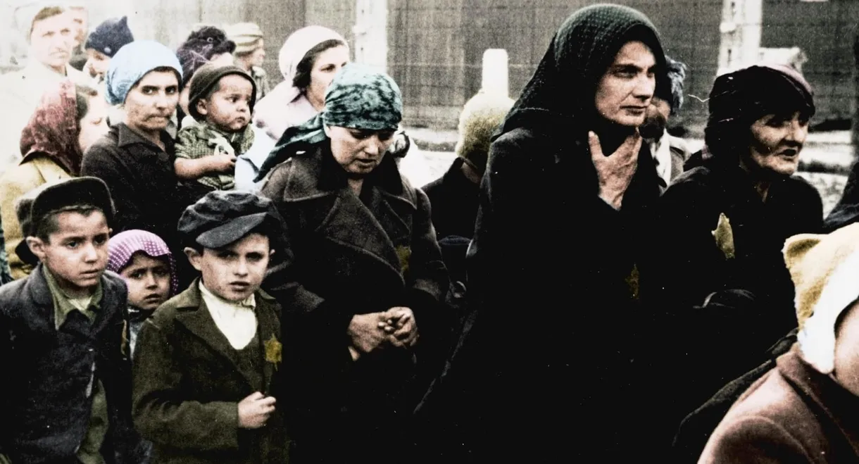 Auschwitz Untold: In Colour