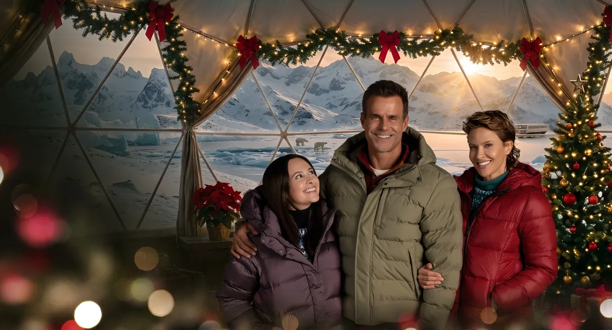 A Very Arctic Christmas