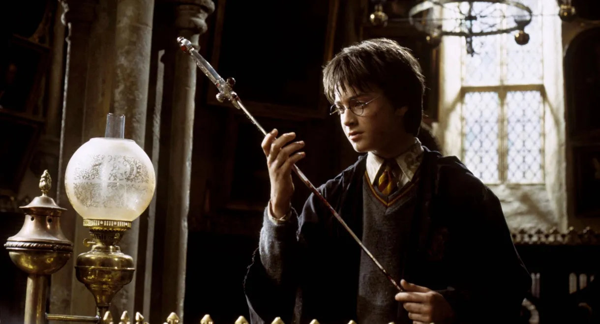 Harry Potter and the Chamber of Secrets