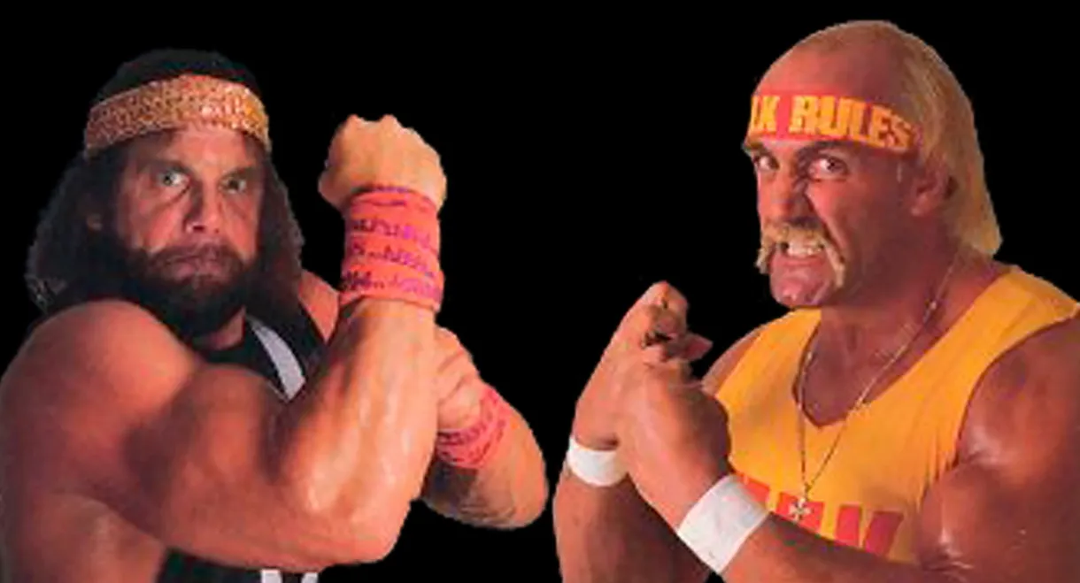 WWE WrestleMania V