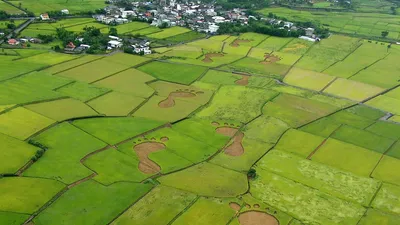 Beyond Beauty: Taiwan from Above