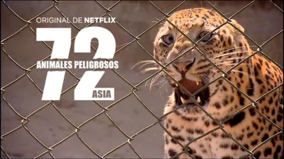 72 Dangerous Animals: Asia