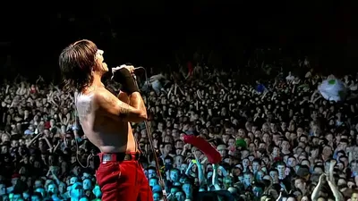 Red Hot Chili Peppers: Live at Slane Castle