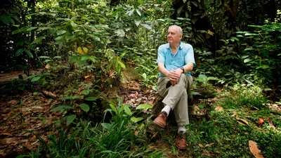 Attenborough: 60 Years in the Wild