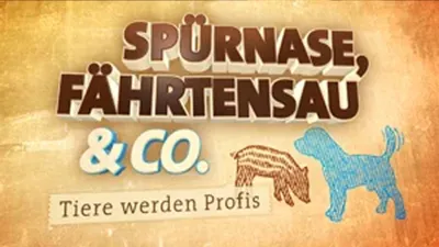 Spürnase, Fährtensau & Co.