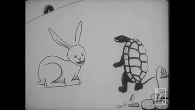 The Hare and the Tortoise