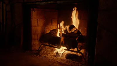 Adult Swim Yule Log