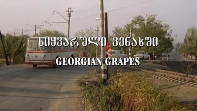 Georgian Grapes