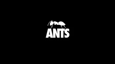 City Of Ants