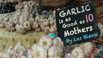 Garlic Is as Good as Ten Mothers