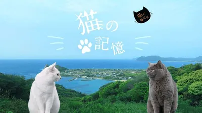 Itoshima Movie: Cat's Memory