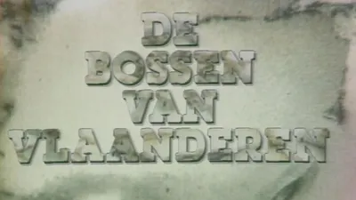 De Bossen Van Vlaanderen