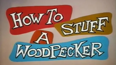 How to Stuff a Woodpecker