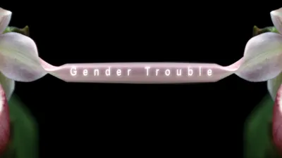 Gender Trouble