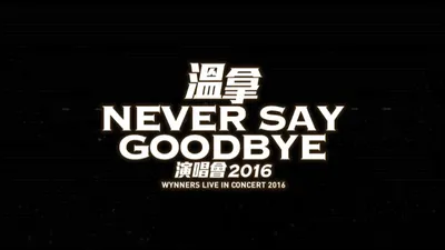 Never Say Goodbye - The Wynners Live In Concert 2016