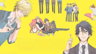 Hitorijime My Hero