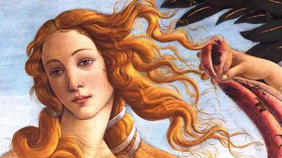 Why Beauty Matters