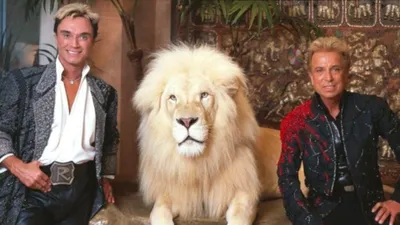 A Tribute to Siegfried & Roy