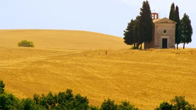 Mare di grano