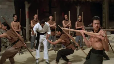 The Kung Fu Instructor