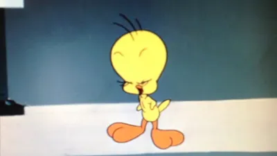 Tweet Tweet Tweety