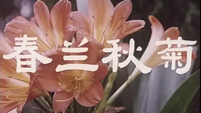 春兰秋菊