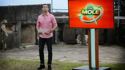 The Mole