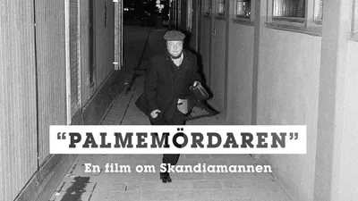 Palmemördaren