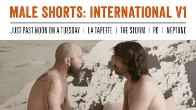 Male Shorts: International V1