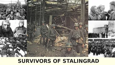 Survivors of Stalingrad