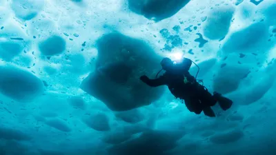 Bering Sea Gold: Under the Ice