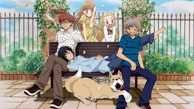 Honey and Clover